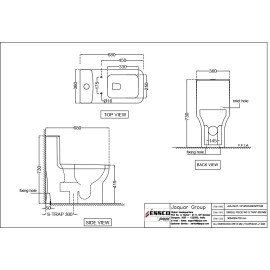 Rimless Single Piece WC