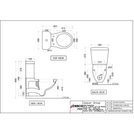 Extended Wall Hung WC